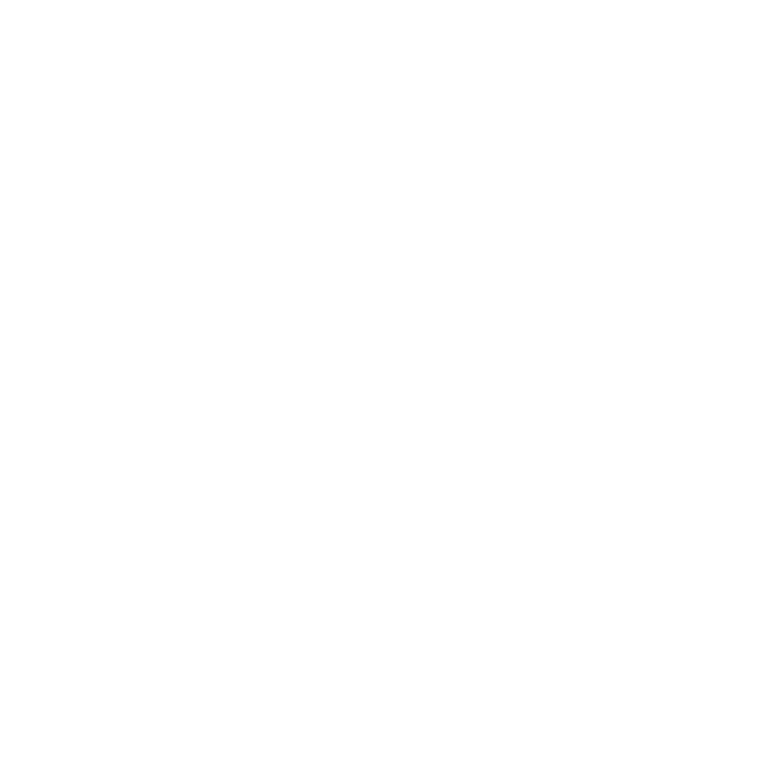 VRUTAL — Ropa Streetwear Brutalista Chile